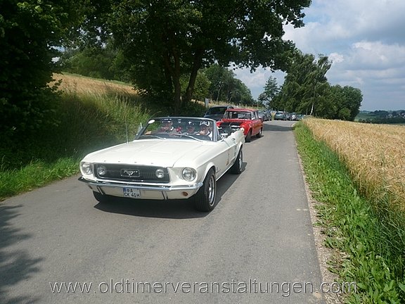 bild125.jpg  