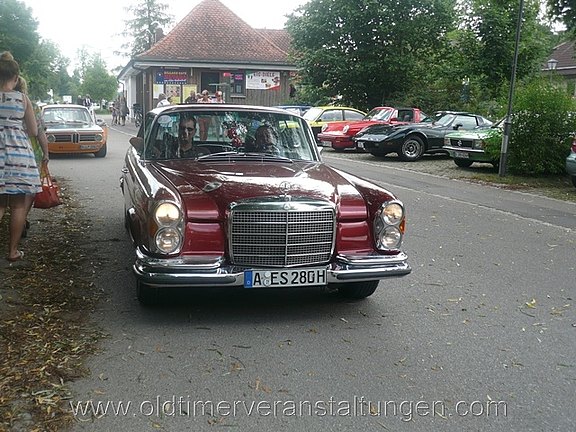 bild174.jpg  
