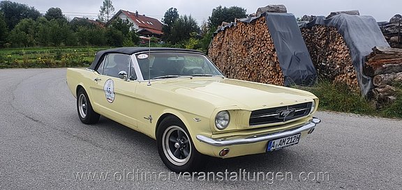 Bild 179.jpg  