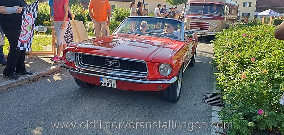 Bild 128.jpg  