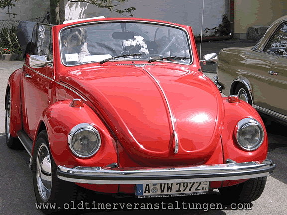 BILD_9_2002.jpg  